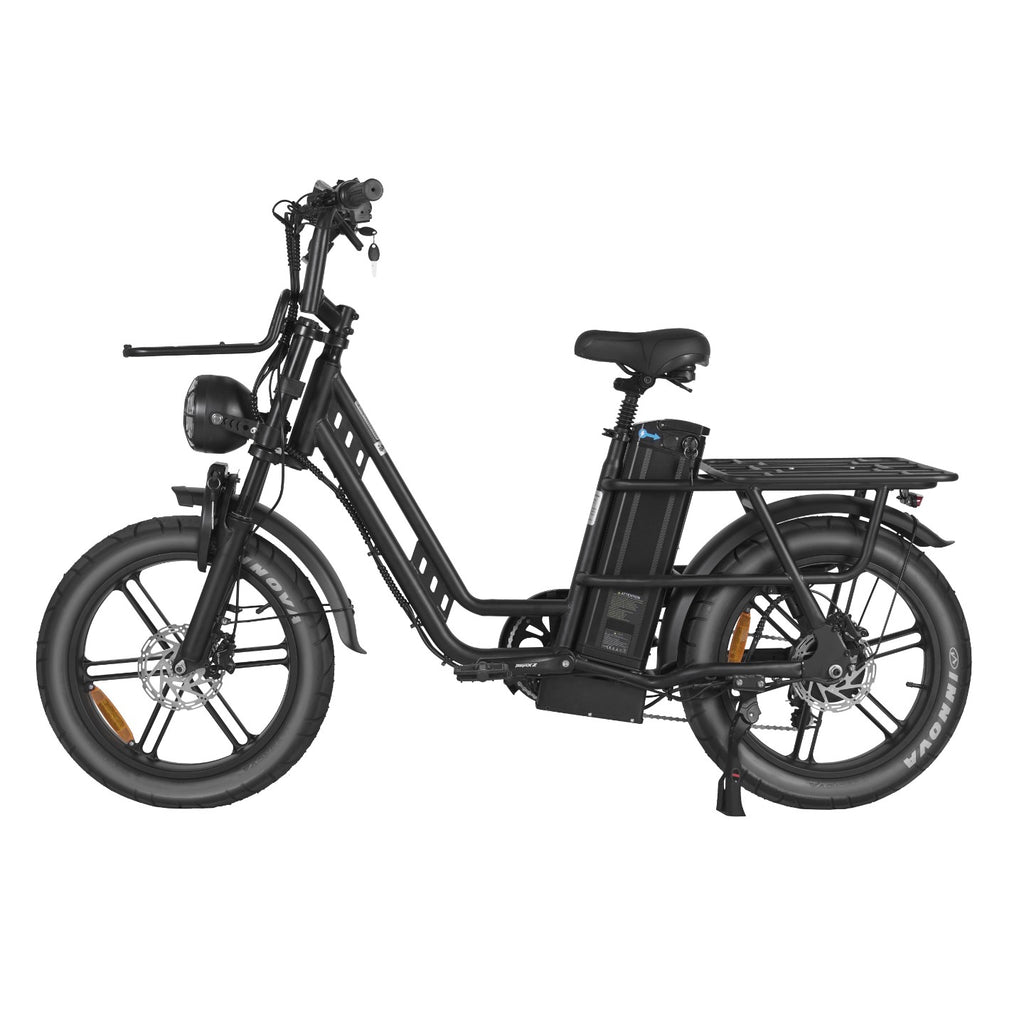 Bici Elettrica D30