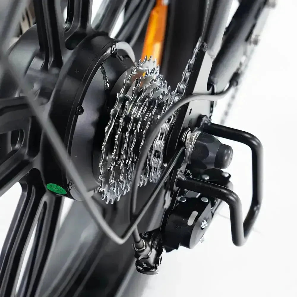 Bici elettrica V20 Limited
