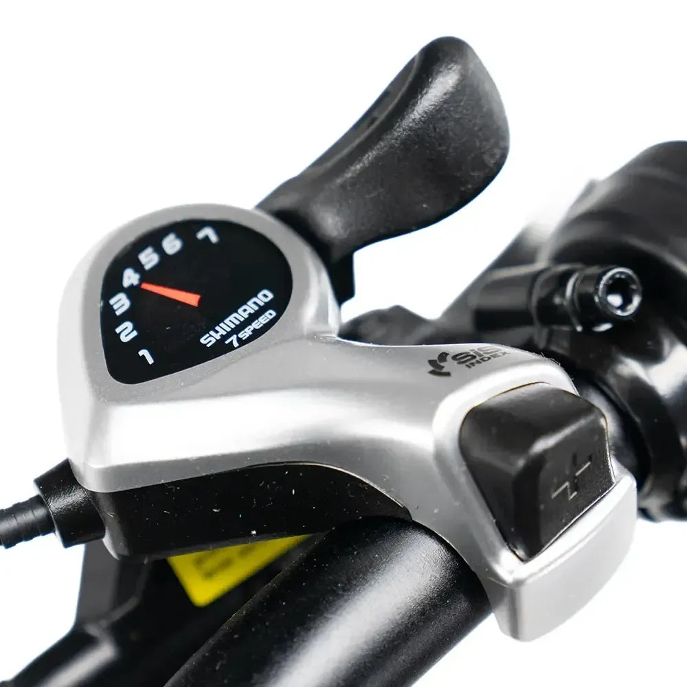 Bici Elettrica D30