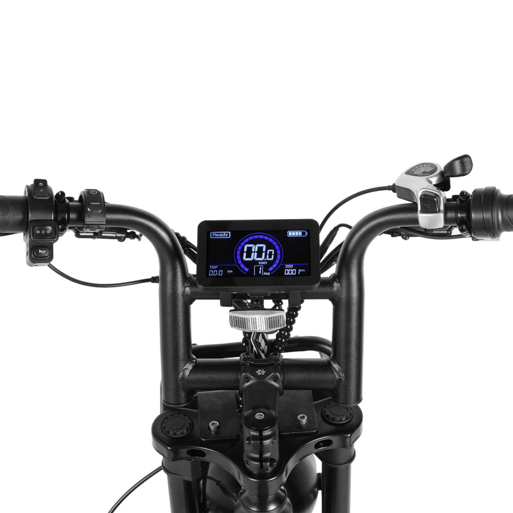Bici elettrica V20 Limited Pro