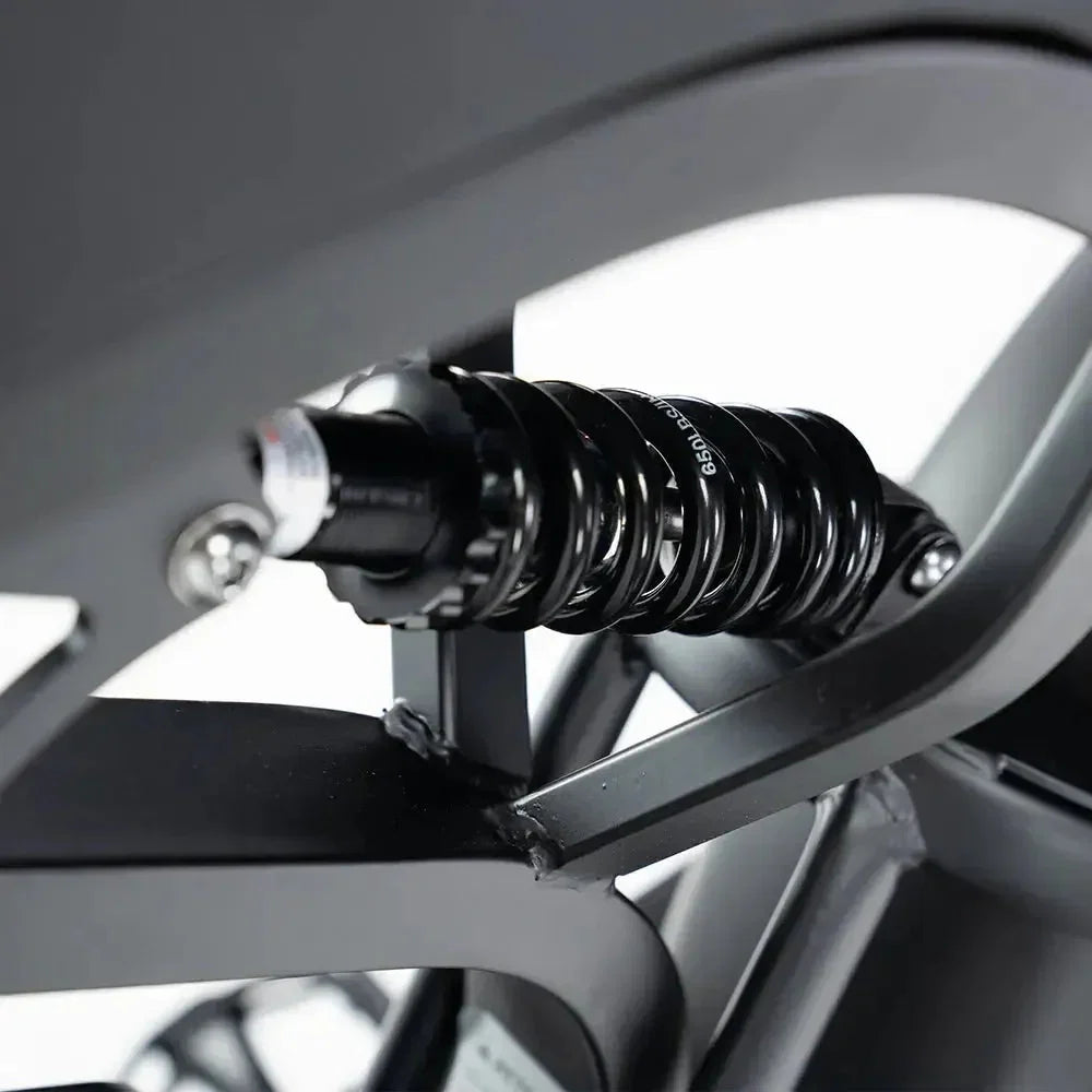Bici Elettrica V20 Pro