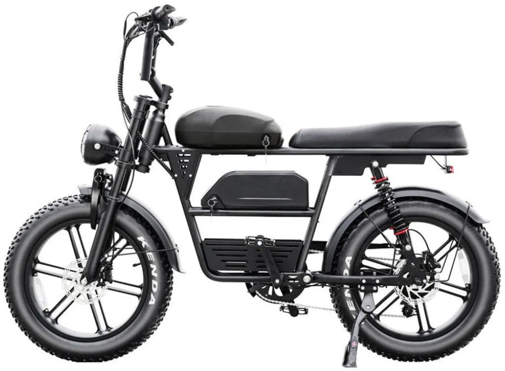 Bici elettrica EB30 Dual Battery