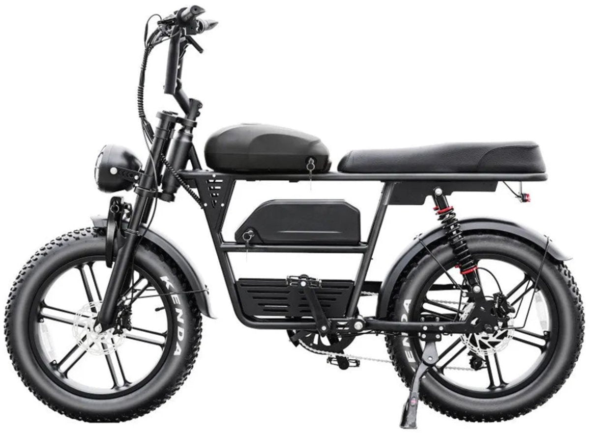 Bici elettrica EB30 Dual Battery