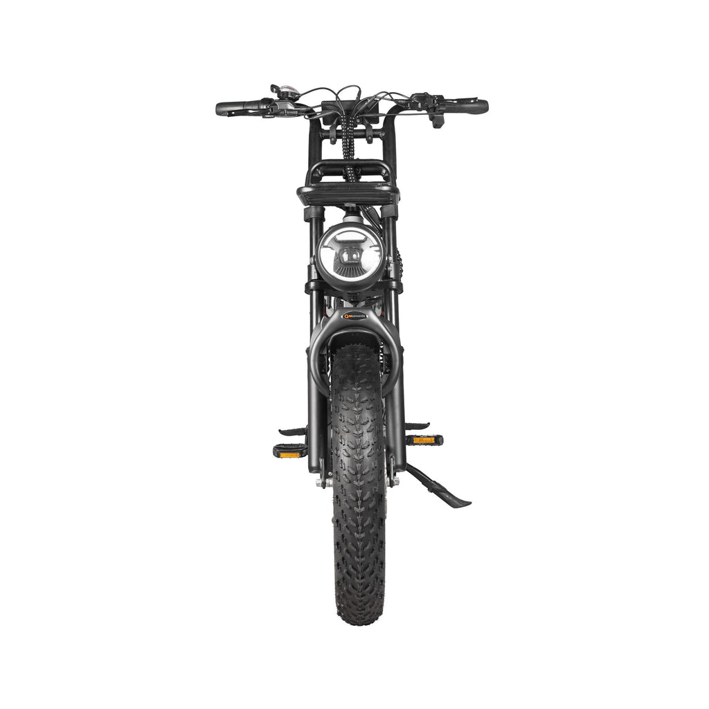 Bici elettrica S20 PRO