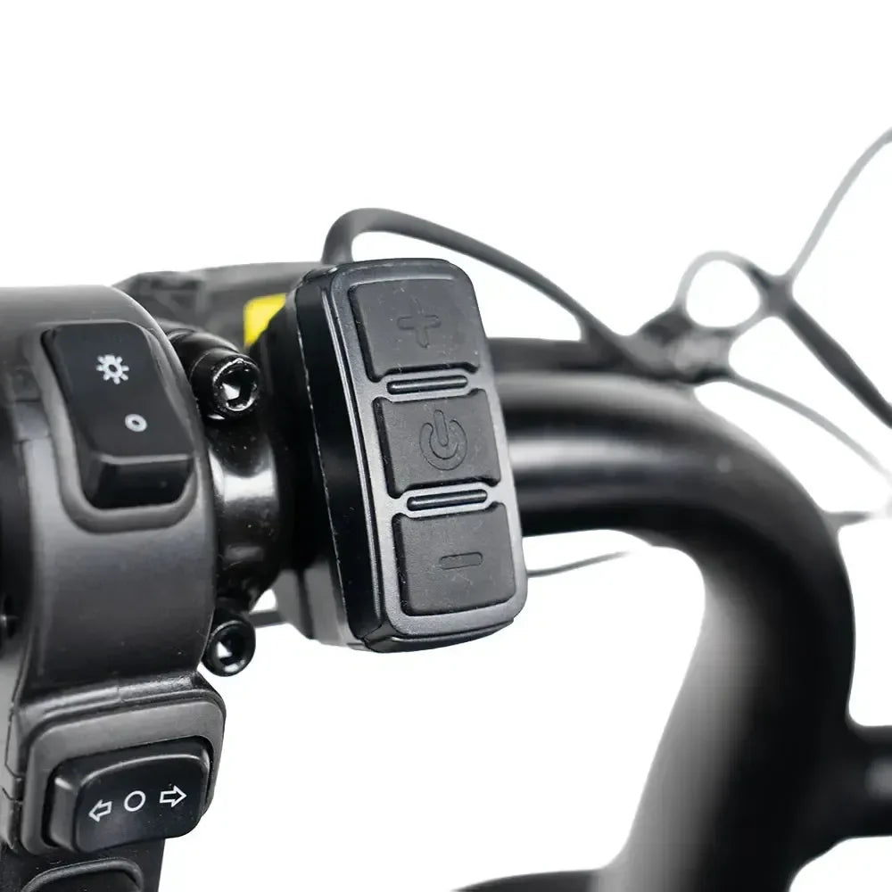 Bici elettrica S20 PRO