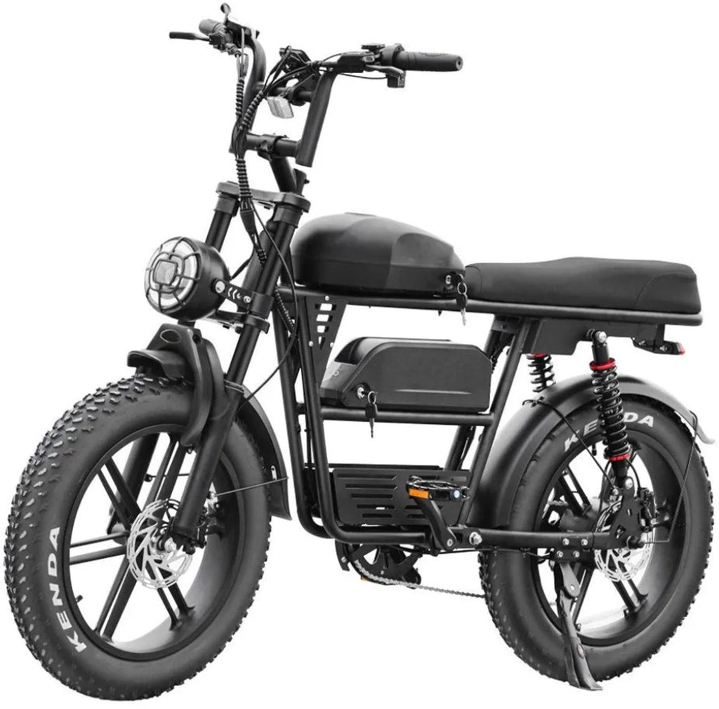Bici elettrica EB30 Dual Battery