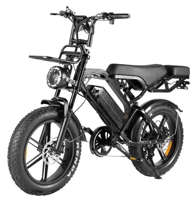 Bici Elettrica V20 Pro
