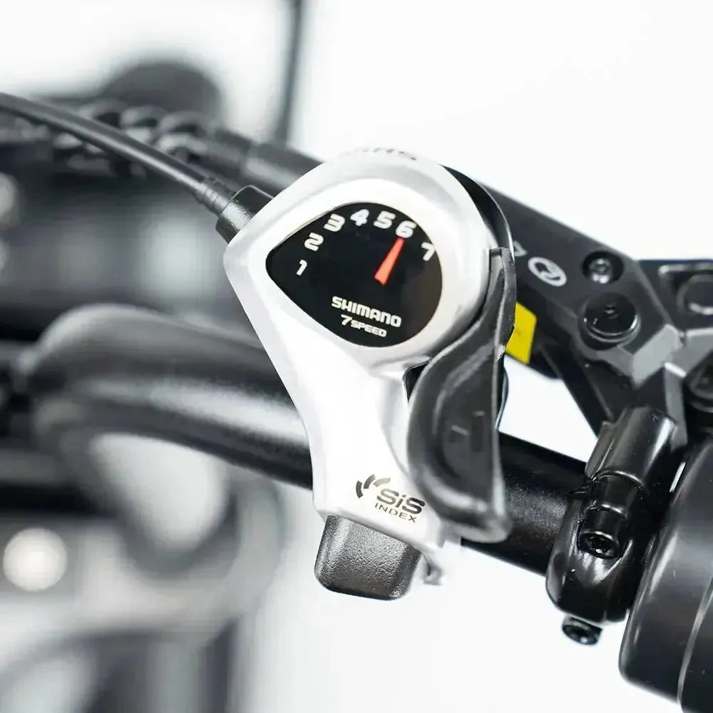 Bici elettrica V29 Pro